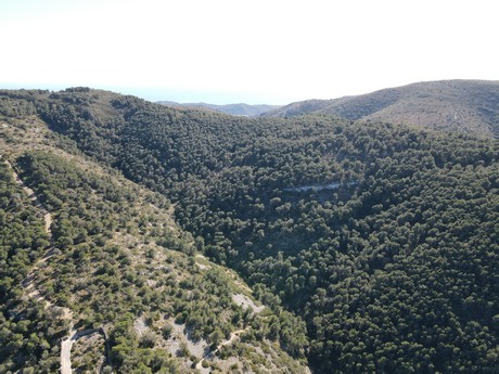 Santa Magdalena de Pulpis